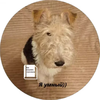 👍 emoji Вкусняшка) @BR0DYACH1Y_ART1ST Telegram sticker 7 of 17