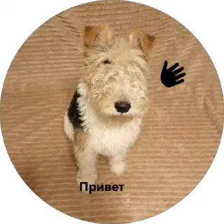 🙃 emoji Вкусняшка) @BR0DYACH1Y_ART1ST Telegram sticker 5 of 17