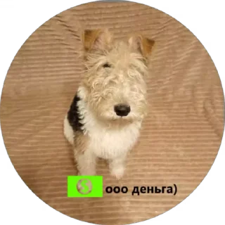 👍 emoji Вкусняшка) @BR0DYACH1Y_ART1ST Telegram sticker 6 of 17
