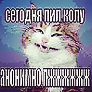 Sticker from рандомная хуйня by @rowdydef