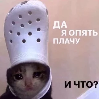 😭 emoji котики милашки Telegram sticker 10 of 93