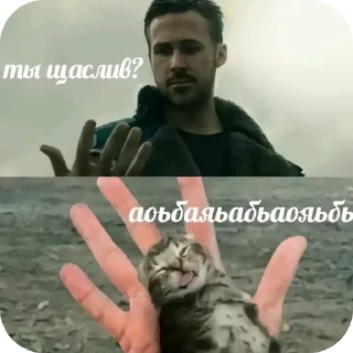✋ emoji Я КОНЧЕНЫЙ БЕГИТЕ Telegram sticker 24 of 120