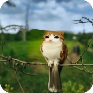 🐦 emoji Я КОНЧЕНЫЙ БЕГИТЕ Telegram sticker 3 of 120