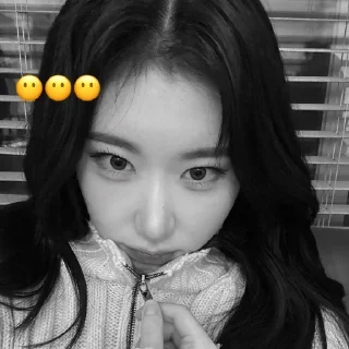 🖤 emoji chaeryeong | чб Telegram sticker 23 of 54