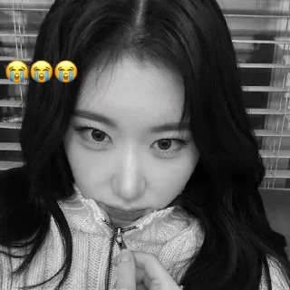 🖤 emoji chaeryeong | чб Telegram sticker 22 of 54