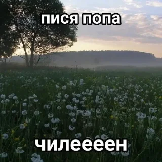 🤍 emoji няшки хуяшки Telegram sticker 15 of 44
