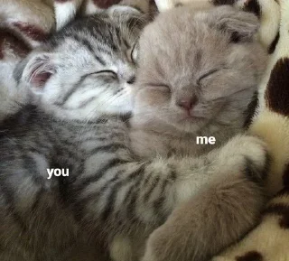 🌟 emoji милые пикчи!! by @QQWX1P Telegram sticker 6 of 46