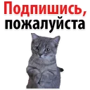 Sticker from Sign up @stickersb2b