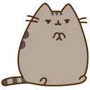 🐱 emoji Pusheen The Cat @TVstickers Telegram sticker 12 of 100