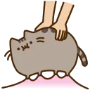 🐱 emoji Pusheen The Cat @TVstickers Telegram sticker 10 of 100