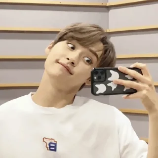 🐈 emoji ۰. ݁⸙ minho ִֶָ by @m2e58l Telegram sticker 12 of 50