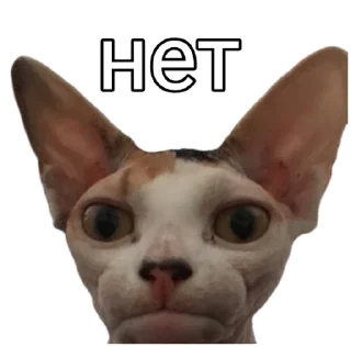 Sticker from Ладно