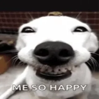 😁 emoji Dogs | @salkostik Telegram sticker 6 of 23