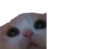 😐 emoji Мікро-Кішки Telegram sticker 16 of 120