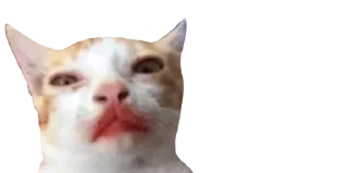 💋 emoji Мікро-Кішки Telegram sticker 10 of 120