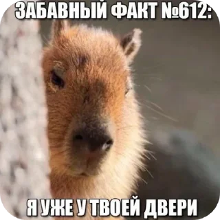 🌟 emoji бля выйдите Telegram sticker 12 of 109