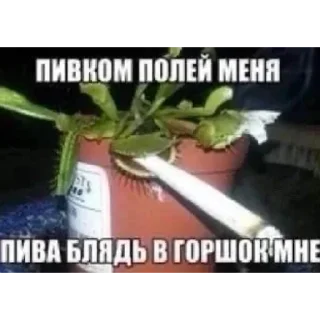 🌟 emoji бля выйдите Telegram sticker 15 of 109