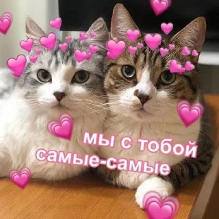 💞 emoji Канал чото @i_gay97542 Telegram sticker 13 of 28
