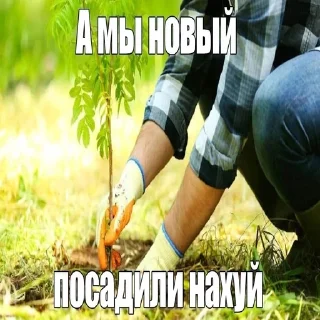 🥸 emoji Ахуенное дерево Telegram sticker 13 of 15