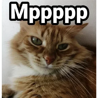 🙂 emoji Author Telegram sticker 22 of 107