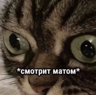 🌟 emoji Бебебе Telegram sticker 8 of 53