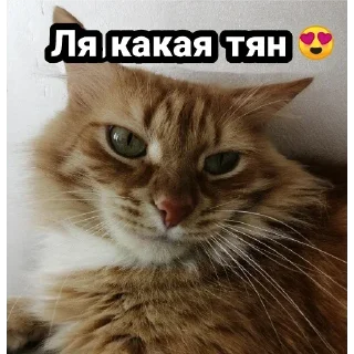 🙂 emoji Author Telegram sticker 23 of 107