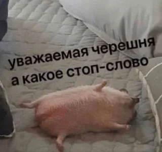 🌟 emoji Бебебе Telegram sticker 23 of 53