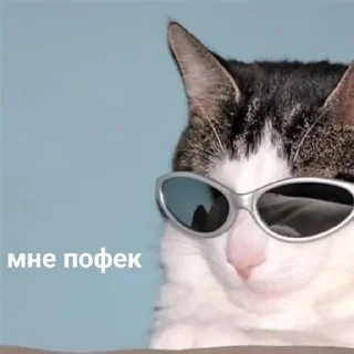 😎 emoji ЧиСтО ПРиКоЛы Telegram sticker 19 of 120