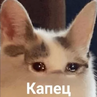 😯 emoji грустно Telegram sticker 12 of 27