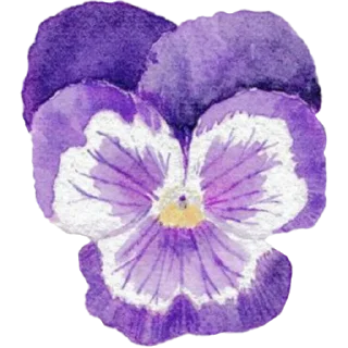🌺 emoji Honey Telegram sticker 9 of 60