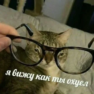 🤓 emoji БОЛЬШЕ ⇨ @FULLSITION Telegram sticker 14 of 92