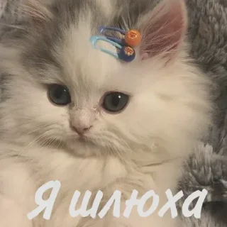 🤭 emoji БОЛЬШЕ ⇨ @FULLSITION Telegram sticker 8 of 92