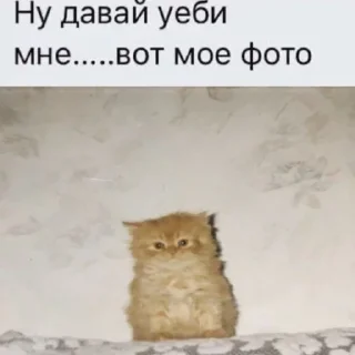 😘 emoji БОЛЬШЕ ⇨ @FULLSITION Telegram sticker 22 of 92