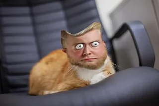 🌟 emoji хто це зробив?? Telegram sticker 24 of 111