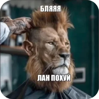 🌟 emoji тгк: @stikeri_1234 (flagou) Telegram sticker 20 of 117