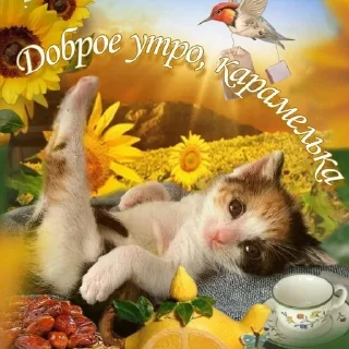 Sticker from Свага присутствует @AMFETAMIN_LSD