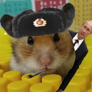 👑 emoji ПРИКЛЮЧЕНИЯ ПУШКА Telegram sticker 8 of 96