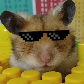 😎 emoji ПРИКЛЮЧЕНИЯ ПУШКА Telegram sticker 14 of 96