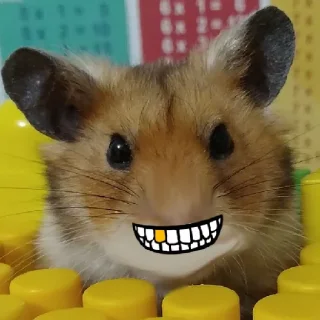 😬 emoji ПРИКЛЮЧЕНИЯ ПУШКА Telegram sticker 10 of 96