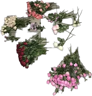 💩 emoji DV_flowers Telegram sticker 19 of 36