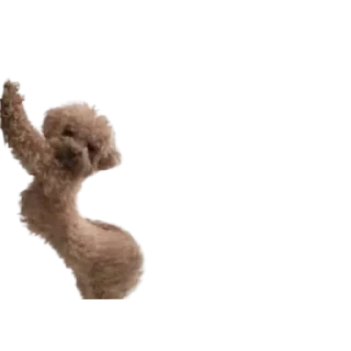 😏 emoji bubidog Telegram sticker 7 of 58