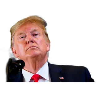 👍 emoji AnyTramp Telegram sticker 12 of 41