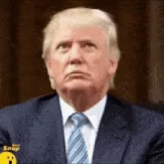 🌟 emoji Трамп Telegram sticker 7 of 43