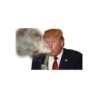 👍 emoji AnyTramp Telegram sticker 19 of 41