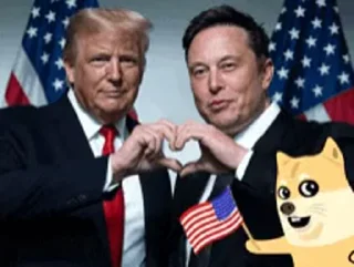 🌟 emoji Трамп Telegram sticker 21 of 43
