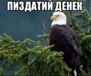 🌟 emoji МЕГАДРИСТОМЕМ5000 Telegram sticker 14 of 120