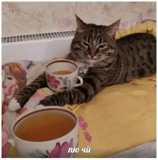☕️ emoji на случай важных переговоров Telegram sticker 15 of 93