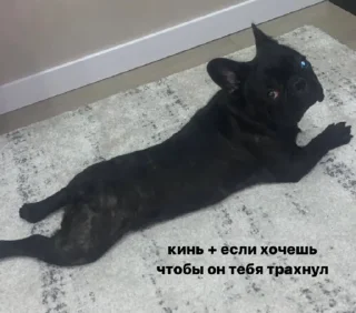 Sticker from на случай важных переговоров