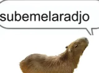 Sticker from на случай важных переговоров