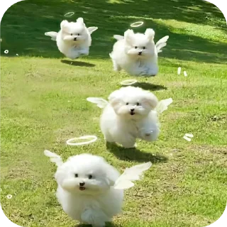 👍 emoji муха @TgEmodziBot Telegram sticker 20 of 28